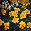 LP NITROPOLLO "WHAT'S THE POINT"