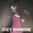 LP JOEY RAMONE - A CLOSER LOOK